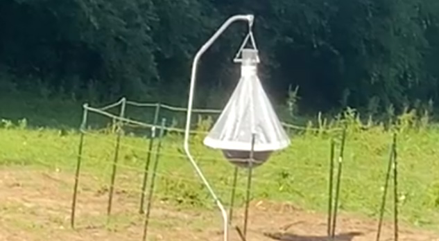 You are currently viewing Ep2 – Elle voulait un cheval et une constellation