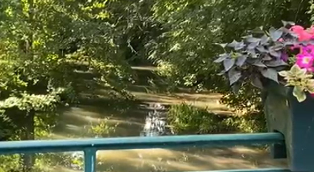 You are currently viewing Belle oiselle